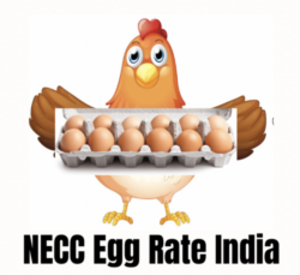 NECC EggRate India